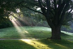 photo 0079